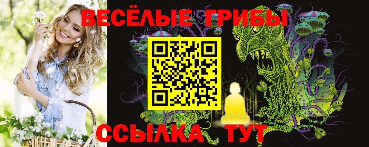 где купить наркоту  Вход с VPN  Горячий Ключ  Галлюциногенные грибы Psilocybe 