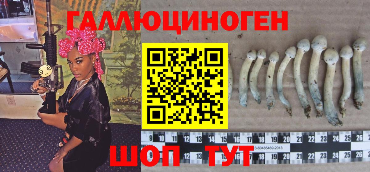 Псилоцибиновые грибы Psilocybine cubensis Горячий Ключ